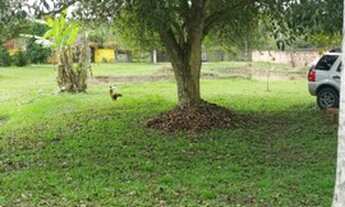 Imagem 5: Terreno em Guapimirim