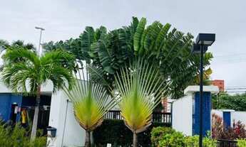 Imagem 5: Life universitá 3/4 Farolândia