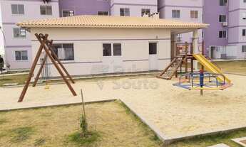 Imagem 6: Pelotas - Apartamento Padrão - Areal