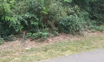 Imagem: NOVA LIMA - Loteamento/Condomínio - Cond