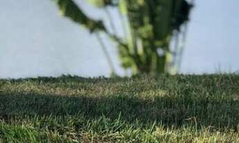 Imagem 3: Haras Residence Sergipe - Lote em frente ao lago