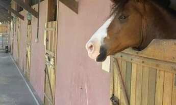 Imagem 2: Haras Residence Sergipe - R$90mil