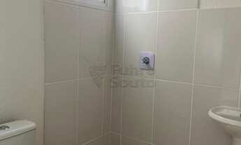 Imagem 7: Pelotas - Apartamento Padrão - Fragata