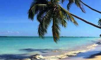 Imagem: 02 Terrenos em Ponta de Mangue