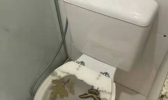 Imagem 6: Apartamento Aluguel