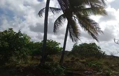 Imagem 4: Terreno Terreno / lote com venda por R$18.000