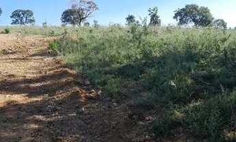 Imagem: Fazenda de Oportunidade ! 125 Alqueires