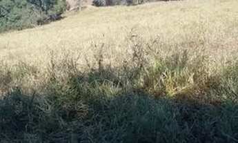 Imagem 6: Terra boa Chácara com venda por R$800.000