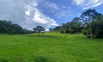 Imagem 6: PA - Vende-se terreno com ótima topografia!!!