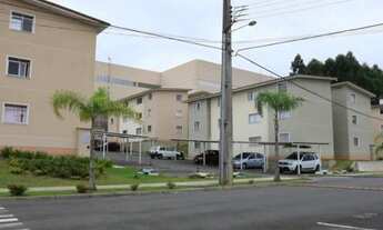 Imagem 3: Alugo apartamento em região nobre de Campo Largo!!!