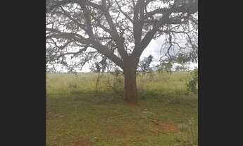 Imagem 4: Vende se Chácara com venda por R$150.000