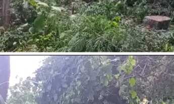 Imagem: Vendo terreno