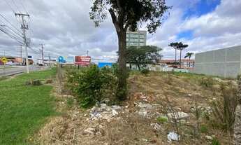 Imagem 4: PINHAIS - Terreno Padrão - Centro