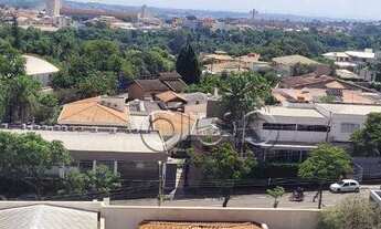 Imagem 5: São Dimas - 3 Dormitórios