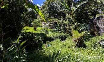 Imagem: SãO PAULO - Terreno Padrão - Horto Florestal