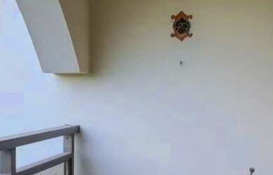 Imagem 5: APARTAMENTO - ALTO DE PINHEIROS - SP