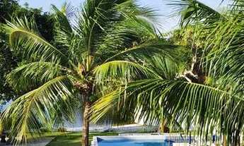 Imagem 3: Promoção ! Em JULHO APROVEITE