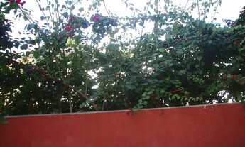 Imagem 3: Excelente casa na parte superior em ótima localização