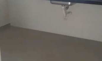 Imagem 3: COBERTURA - VILA GILDA - SP