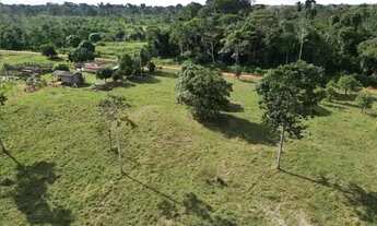 Imagem 5: Sitio 52 Hectares Formado