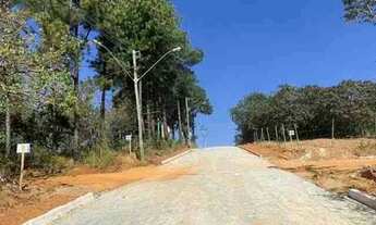 Imagem 3: Lote Mateus Leme