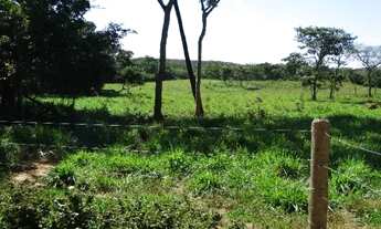 Imagem 6: Fazenda com Ótima Localização em Unaí