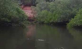 Imagem 7: Fazenda 800 hectares