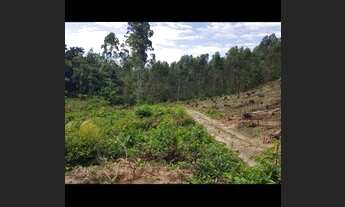 Imagem 2: Sítio 26.000 m2 em Jarinu, bairro Campo Largo