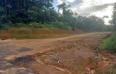 Imagem 7: TERRENO PLANO PARA SÍTIO NO KM26 DA AM 070 PRÓXIMO DO ASFALTO COM ENERGIA ELÉTRICA
