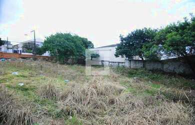 Imagem 4: Terreno em São José