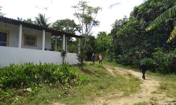 Imagem 7: Propriedade de 31 hectares às margens de açude