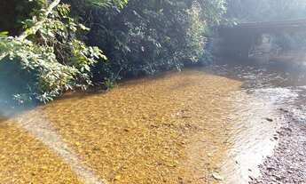 Imagem 4: Chácaras á Venda, 20mil Metros quadrados