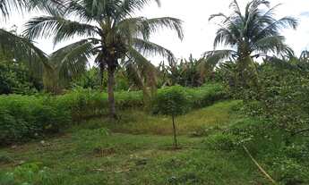 Imagem 5: Propriedade de 31 hectares às margens de açude