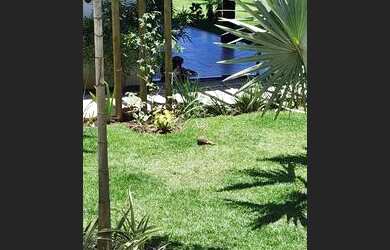 Imagem 4: Morada do Rio / oportunidade!