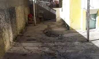 Imagem 2: Aluga-se casa no jardim americano zona leste sjc valor 1.300