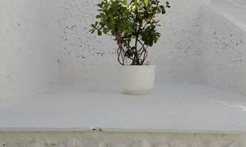 Imagem 2: CASA TÉRREA - LAPA - SP