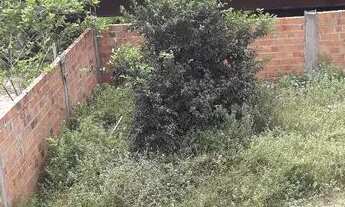 Imagem 2: Terreno pátio norte