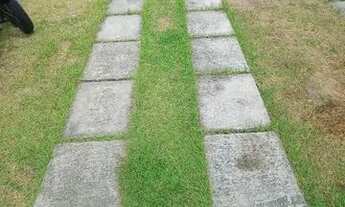 Imagem 6: Apto. novo, 2 quartos, 12o andar, lazer completo