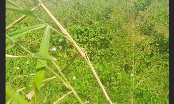 Imagem 2: Terreno Condomínio em Interlagos - Vila Velha, ES