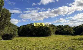 Imagem 2: VENDA - ÁREA RURAL COM 3HECTARES EM ILHÉUS