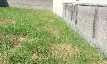 Imagem 9: TERRENO - COLINA DOS PINHEIROS - SP