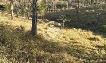 Imagem 3: FAZENDA À VENDA 105,3 HECTARES Localização: Apenas 38 km de Caldas Novas, sendo somente