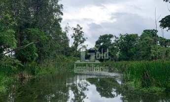 Imagem 5: EXCELENTE Sitio com 30 alqueires na região de Cajuru-SP