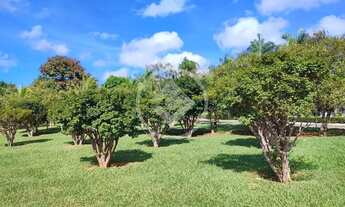 Imagem 5: Hidrolândia - Condomínio Cidade das Águas 1.000 m² disponíveis codigo: 110474