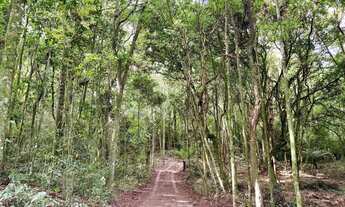 Imagem 6: Chácara com 2 Dormitorio(s) localizado(a) no bairro Fazenda Souza em Caxias do Sul / Ref.