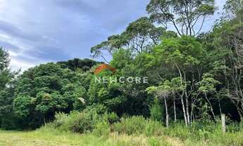 Imagem 4: Lote em Rua 16 - Colinas - São Francisco de Paula/RS