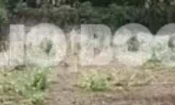 Imagem 5: Vargem grande estr.rio morto terreno linear 1005m2