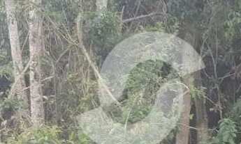 Imagem 3: Terreno à venda, 427 m² por R$ 500.000,00 - Maravista - Niterói/RJ