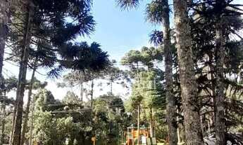 Imagem 4: LINDO TERRENO PLANO NO ASPEN MOUNTAIN