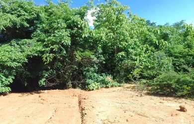 Imagem 6: Venda de chácara saída para Juramento